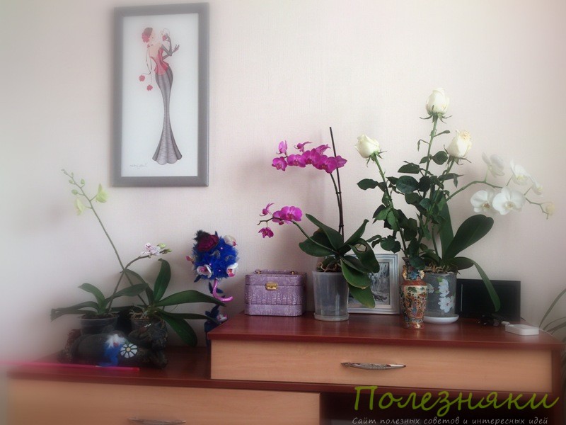 Орхидеи создадут в спальне очень благоприятную атмосферу