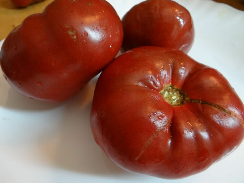Посмотрев на такие красивые, мясистые томаты, так и хочется их съесть