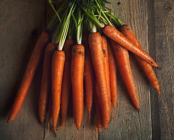 Действенные способы вырастить ровную и красивую морковку