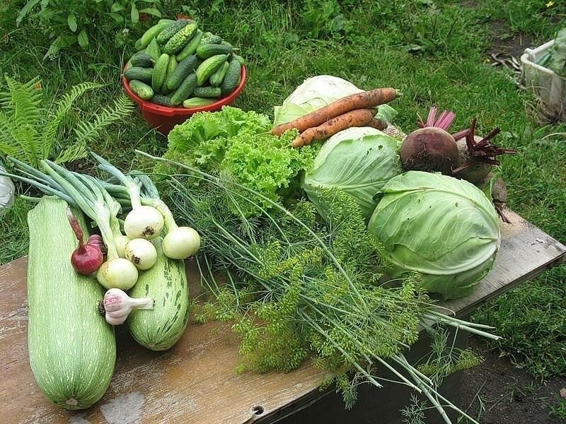 С помощью каких овощей с огорода можно убрать плохую энергетику из дома