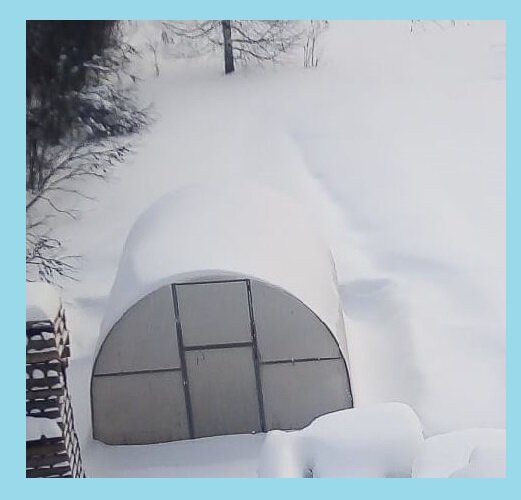 Нужно ли набрасывать снег в поликарбонатную теплицу и для чего?