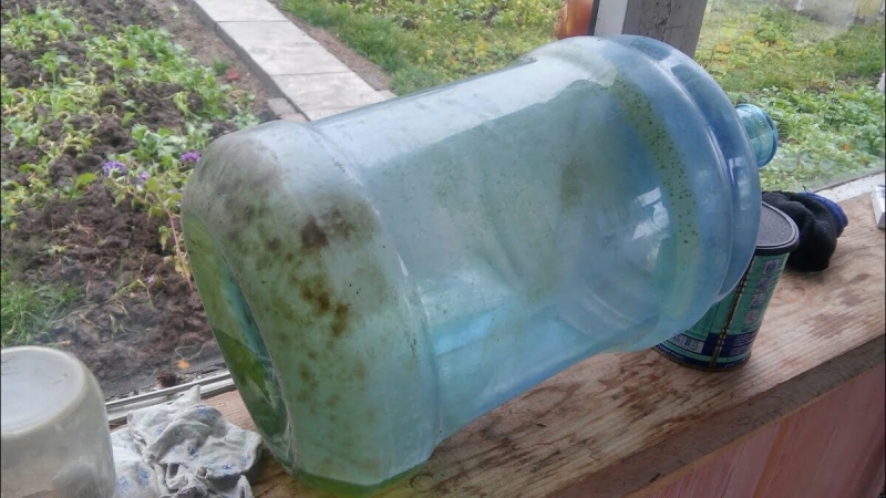 Как я легко отмываю бутыль для воды от зеленого налета