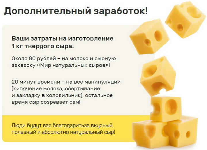 Карантин с пользой: варим сыр из двух продуктов за 20 минут